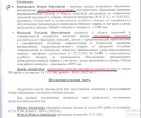 Дарима Резнер, изображение к комментарию.