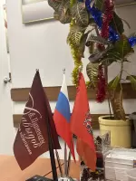 Светлана Иванова, изображение к комментарию.